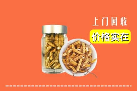 临汾市回收散虫草