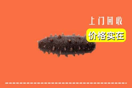 临汾市回收海参
