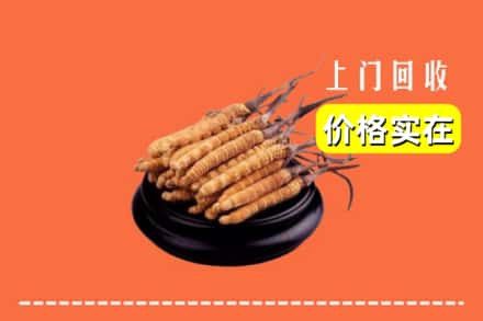 临汾市回收冬虫夏草